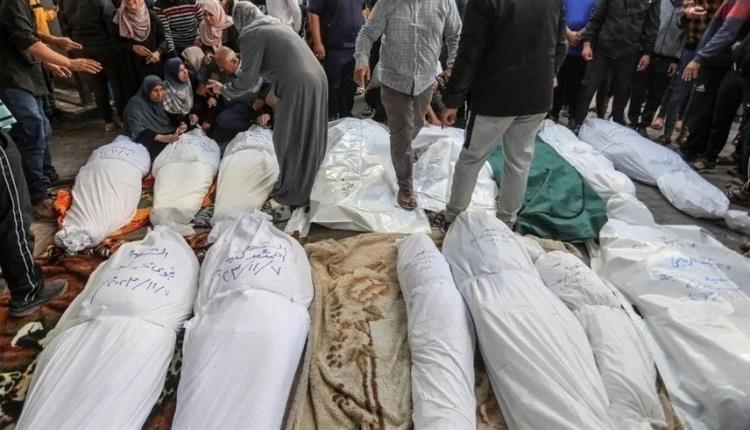 80 ألف قتيل وجريح في غزة منذ بداية الحرب