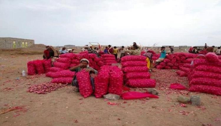 اليمن يصدر أول شحنة تجارية من «الذهب الأحمر » للسعودية