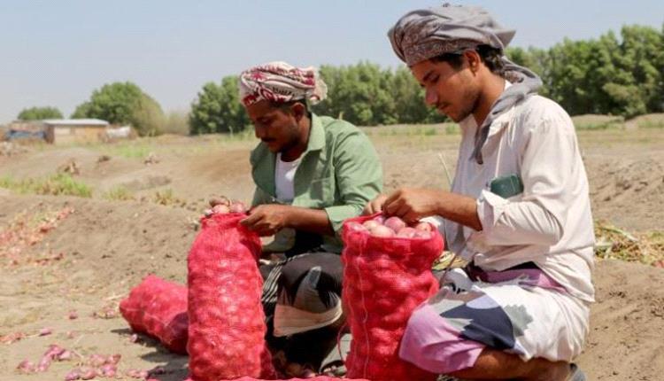 ميناء المخاء اليمني يستعيد تألقه من بوابة "الذهب الأحمر"
